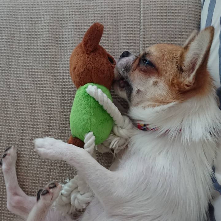 17c1a4c2 0b64 41f5 bbcf a9516e1e098c 1533090741263