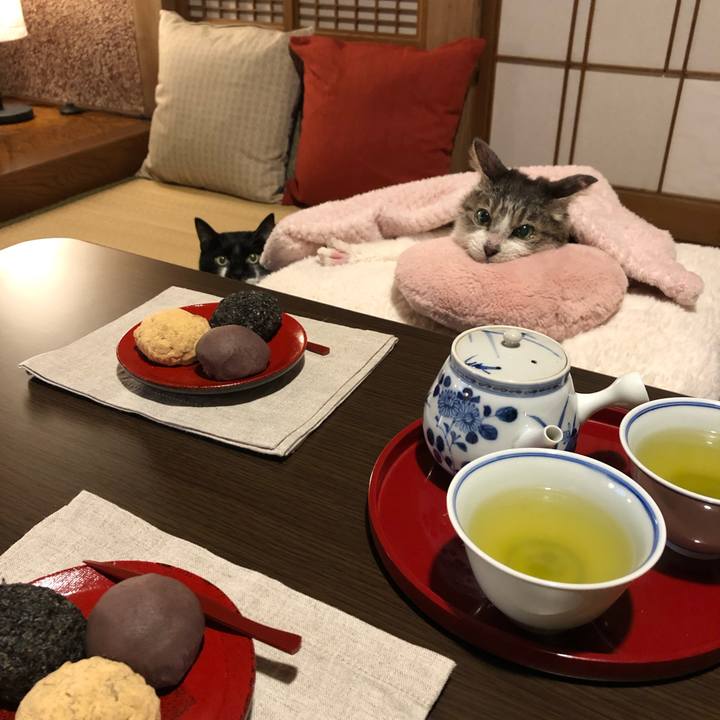 17c1ab97 b552 46a7 8cb5 5c18ad463241 1553172780471