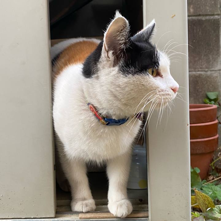 17c1d616 0968 4204 9448 a3d4ba0b26a4 1636409390274