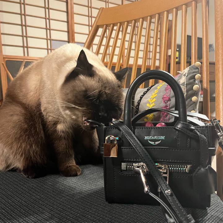 17c1fe4e 9cd2 4d46 ae10 4756a3df91cd 1643938863085