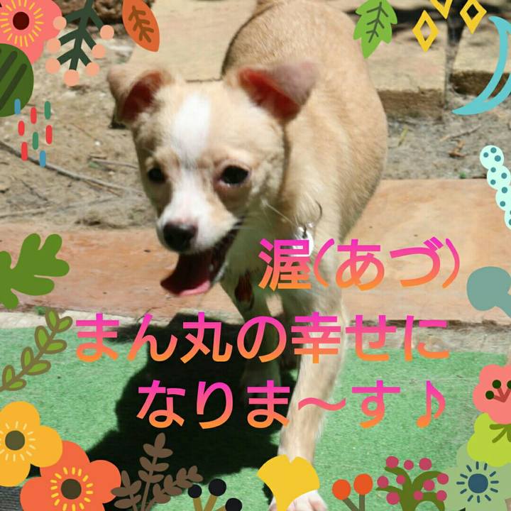 17c201c4 e63b 41be 80c0 47166270dcff 1627338494118