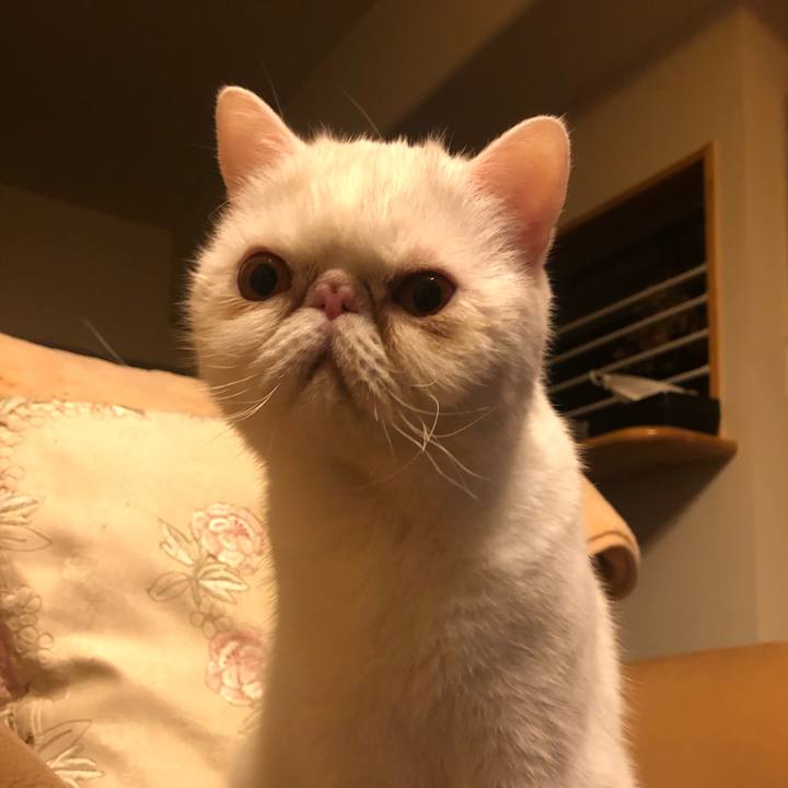 17c23bbd 5aa7 426d 9c5d 39db2568698e 1640685584933