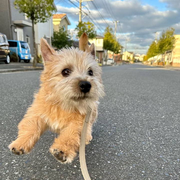 17c25221 684b 42ed 8a3f 9fb331e15e69 1708265631700