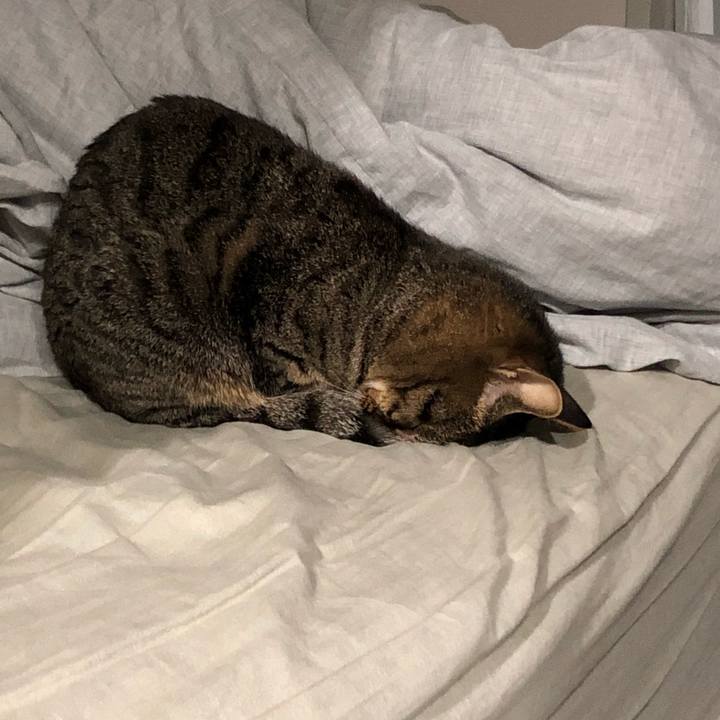 17c25ed4 173b 4602 959b 25b96484328d 1523416881807