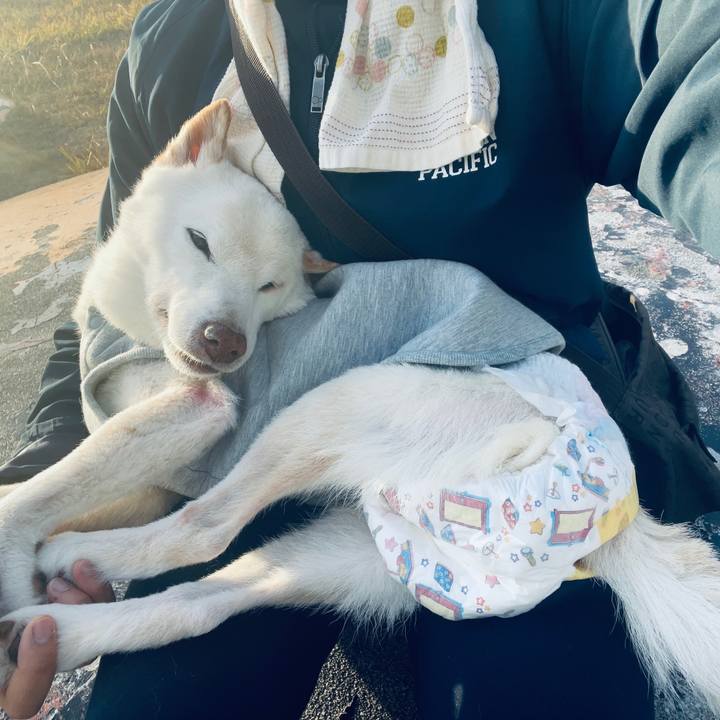 17c26bda 0c8c 40f6 9010 df529683691f 1673855000181