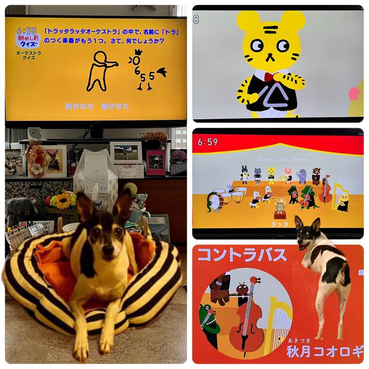 17c2851d 6bf1 41f2 87ed 75b11f349191 1664316427487