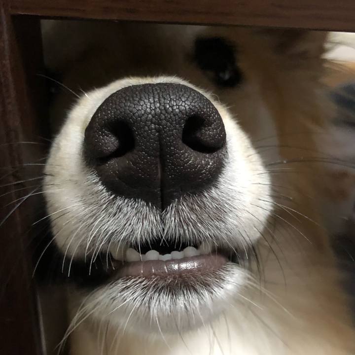 17c2976b 4246 4a07 84bd f9f5cc7ac115 1538651748011