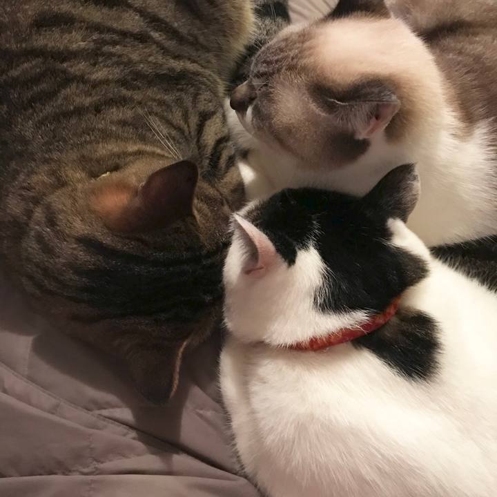 17c29f1a d479 4cc3 a0ae 3ffa1f0c9350 1508637064292