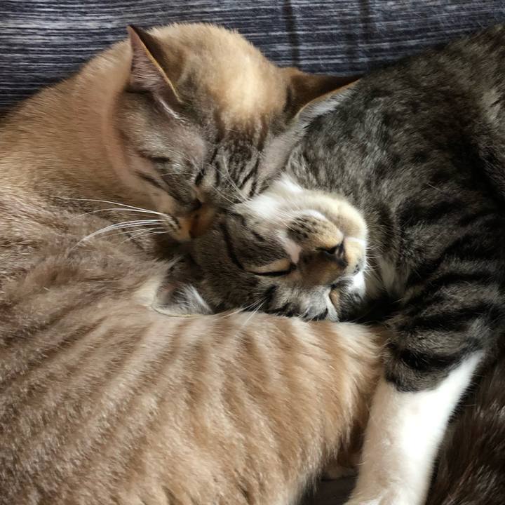 17c2a8d9 26ee 454a b9af 17179adcd4db 1651924725796