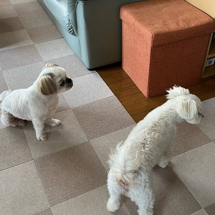 17c32fb0 aee6 4784 81d2 4217fad010c0 1655099411663