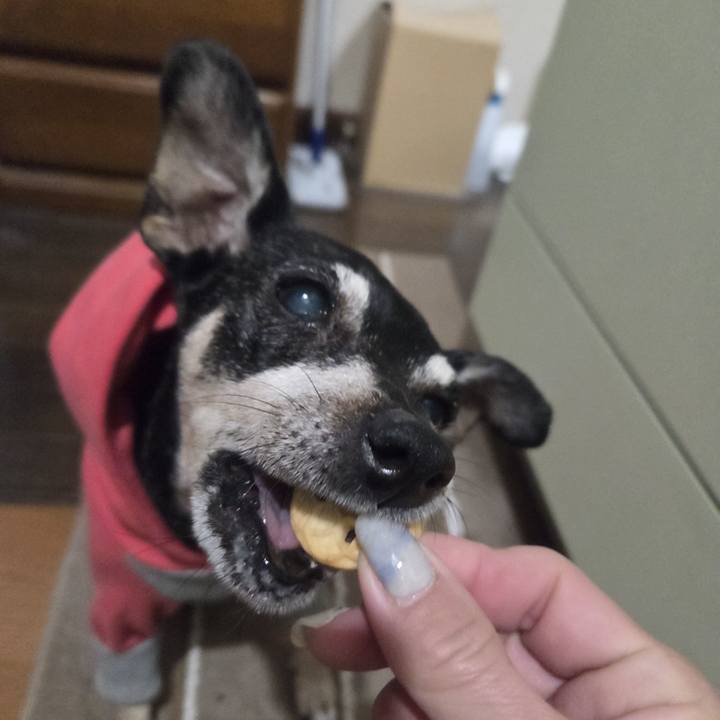 17c33cb7 f3f9 4427 a797 e06e159bdaf2 1772999385820