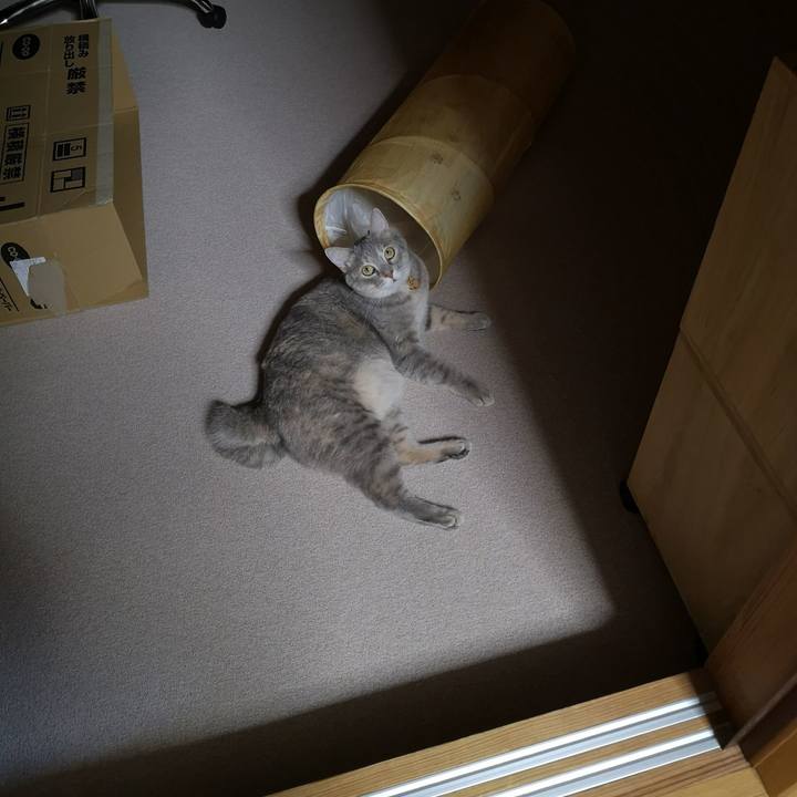 17c3b489 2166 4979 a07b 4242a7b78de0 1567174254725