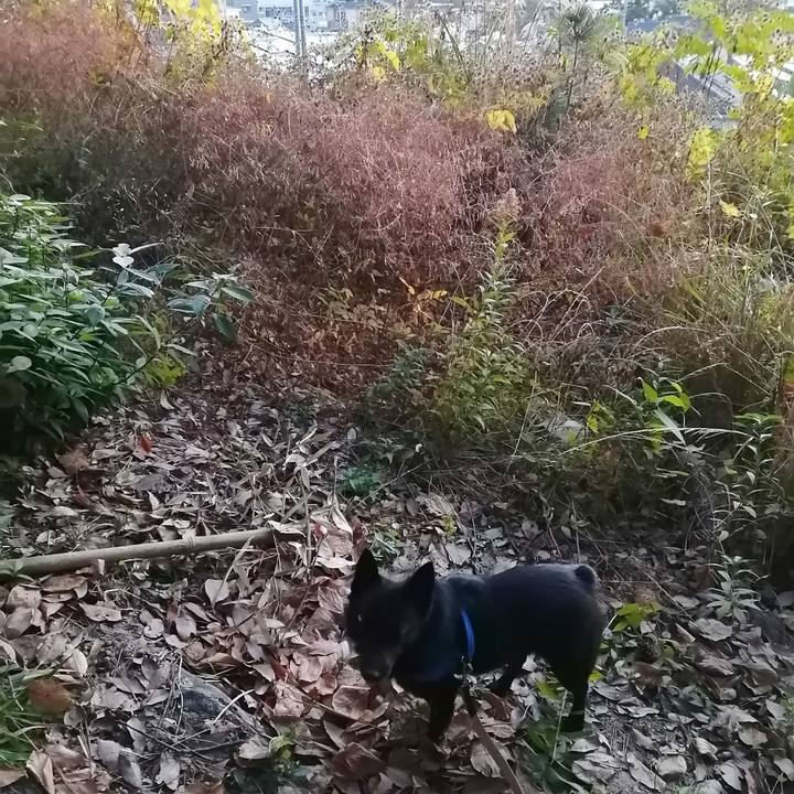 17c3e957 0667 4bc4 a40f 74e2e57b0c9a 1607550995112