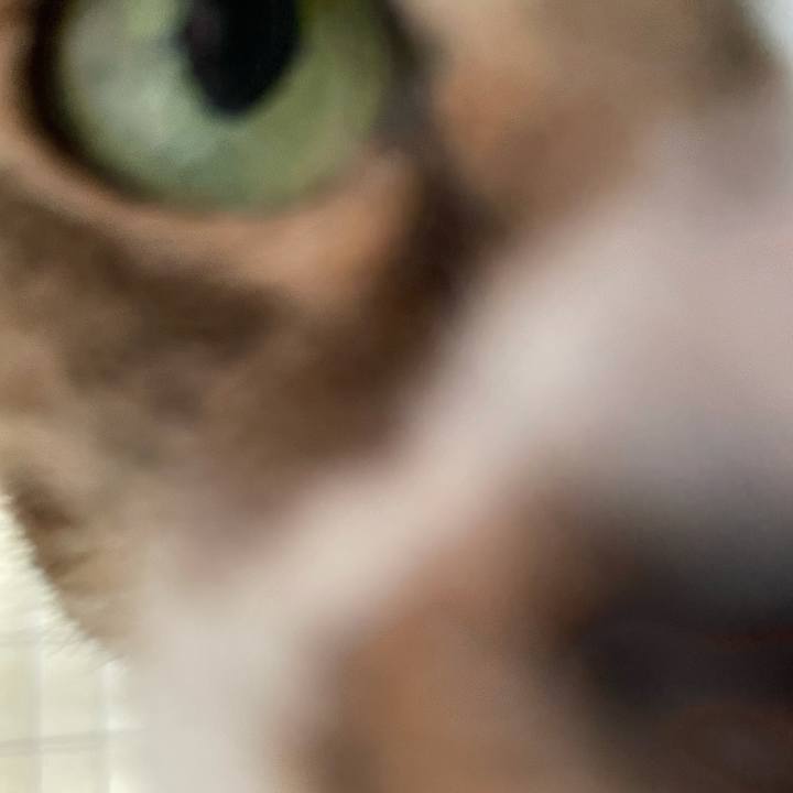 17c3fe42 b2b8 488d 8fc9 9ef0b369bc96 1607736642729