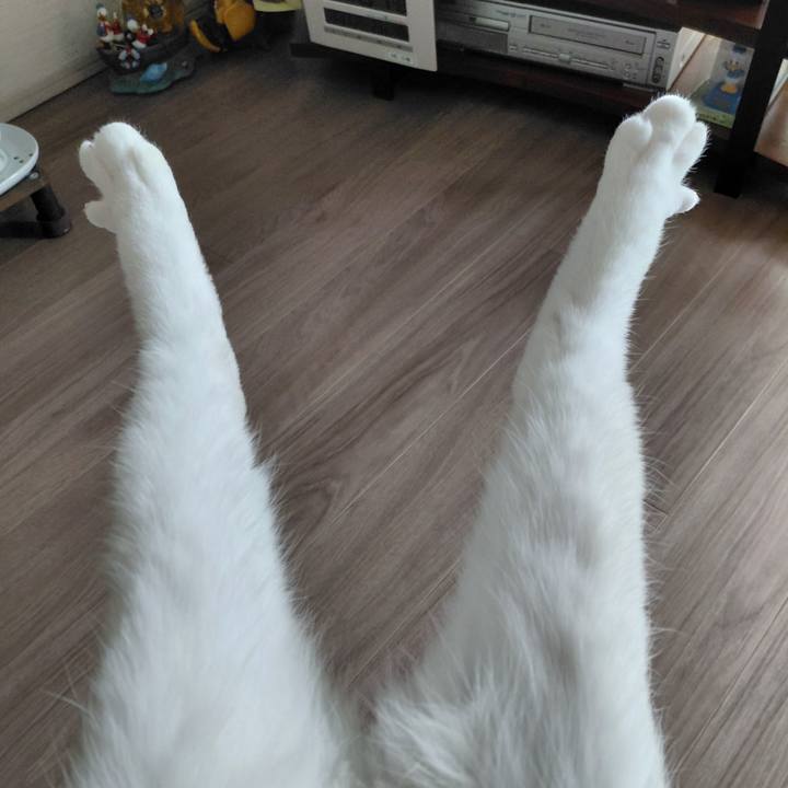 17c430a8 452c 4249 a4fa 62e1088d5964 1774922930437