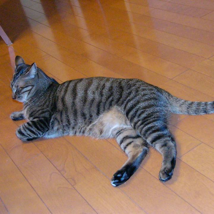 17c432c5 2f98 48ba 9c7a eb8831ef492e 1706662412588