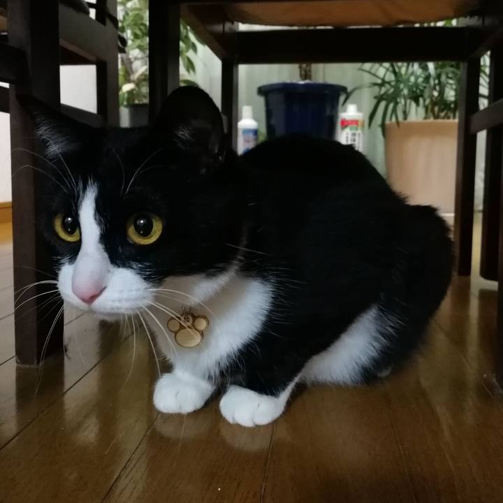 17c43c32 023b 4e45 bf33 b29352c2b5ad 1553690691144