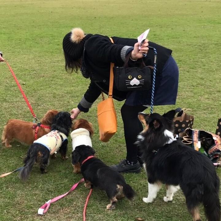 17c43fb0 f595 46c9 ba7c 61586c255a8a 1543050829798