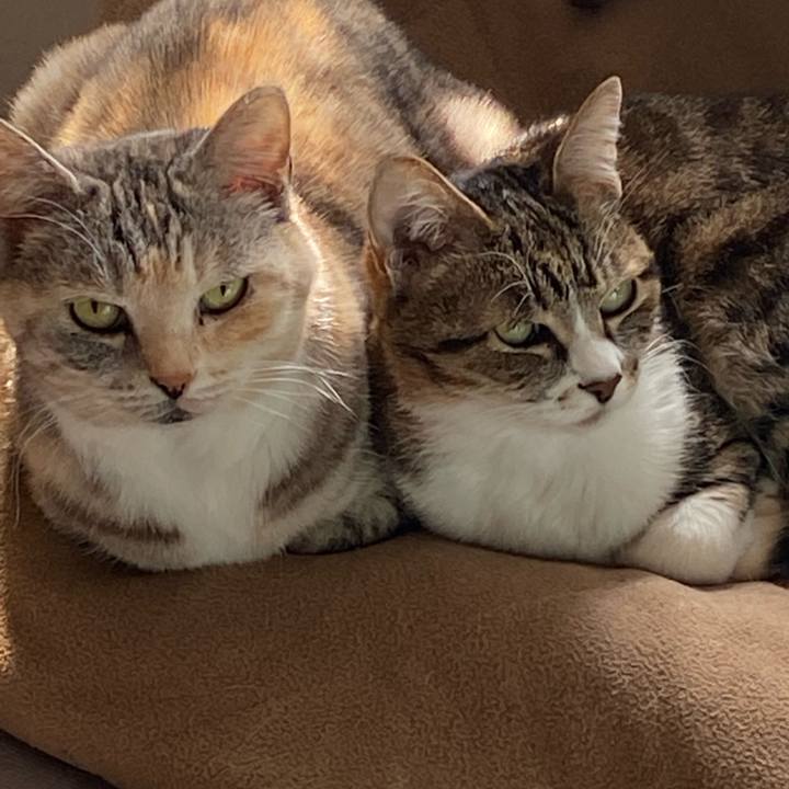 17c46c4e e0fb 4c3e b0ec dadd5ea66f04 1646096759471