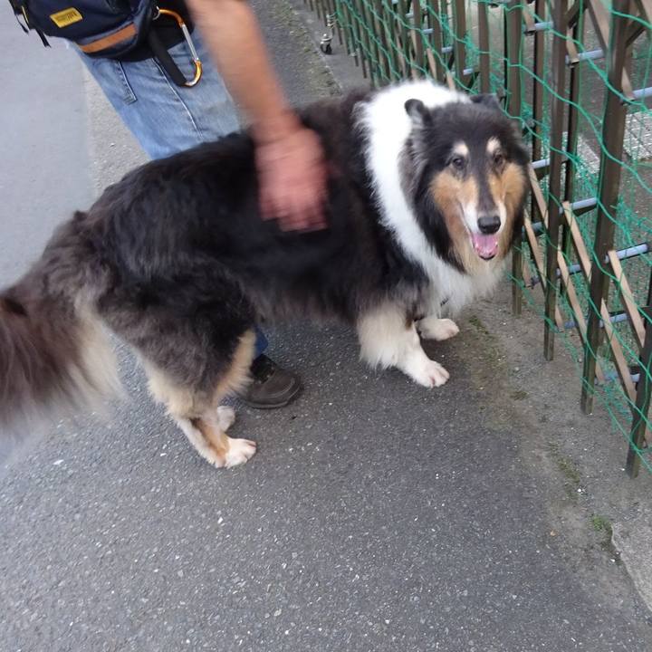 17c470a1 9cd0 4bdf 9797 ef28fae55827 1569671805644