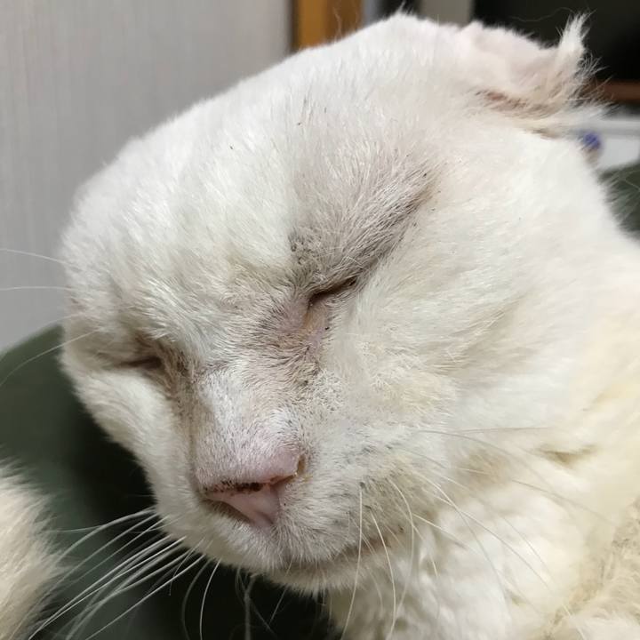 17c4eb35 96e6 4e6e b101 d1f7fa006124 1528979540313