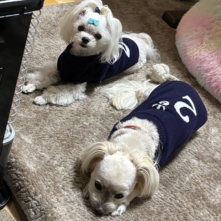 17c51568 5e1f 4ebb 9346 aa947c645ec4 1773738682518