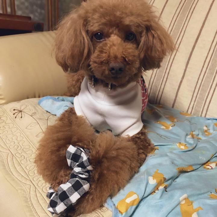 17c53041 ecbc 4c94 bc4e 2a203aaff1bc 1560672769011