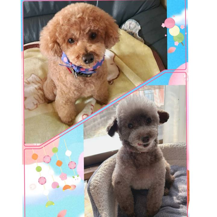 17c53441 e397 46c7 9145 ece60b63e2b0 1772081272992