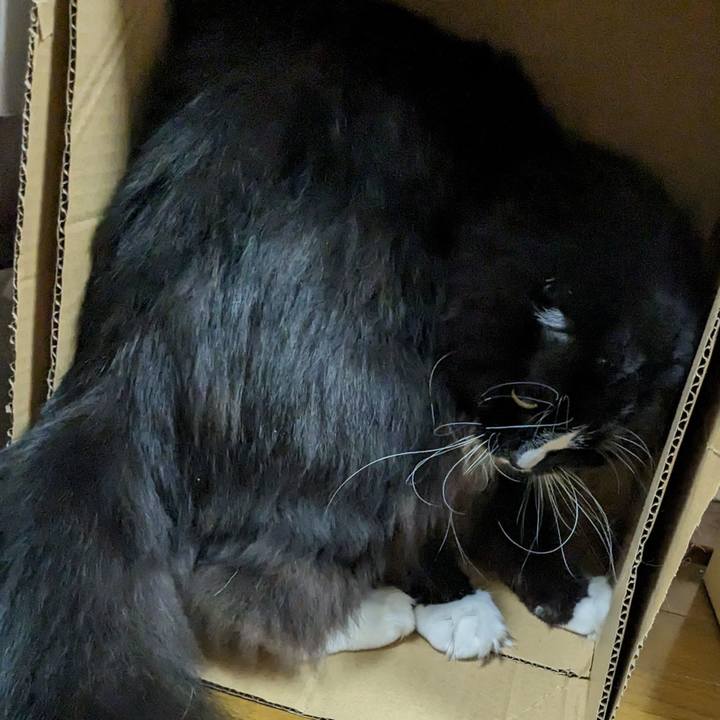 17c544d6 aa1f 4585 9a6c 5ef952d915d9 1711927415002