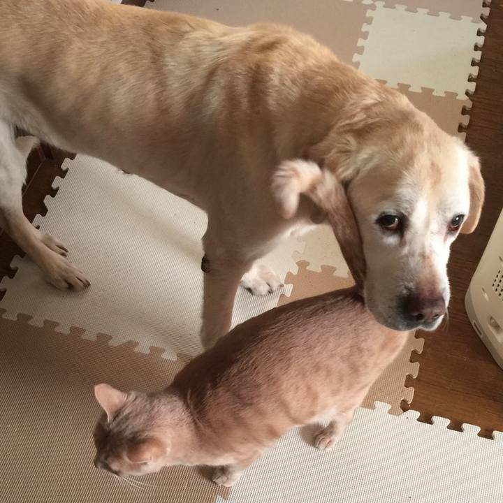 17c57e46 481d 4562 a122 a16561228be6 1590436484901