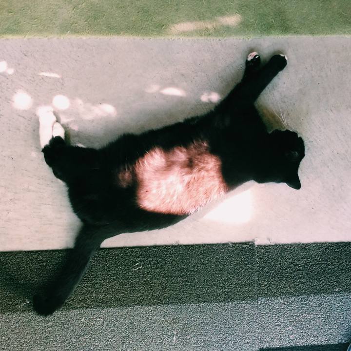 17c583ca 494f 4a35 b29d 6e67ecda7ccc 1572071754243