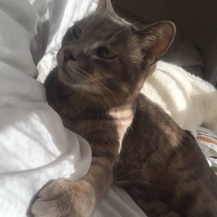 17c596ea b387 45fd a451 fd062d192ebb 1516067476252