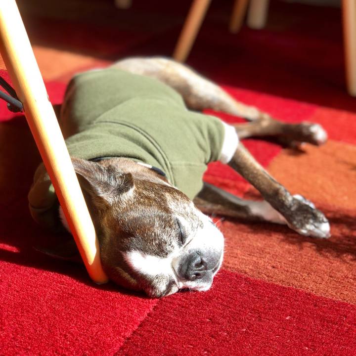 17c5a27c bff6 4916 b816 dbc4101a2e60 1516850438843