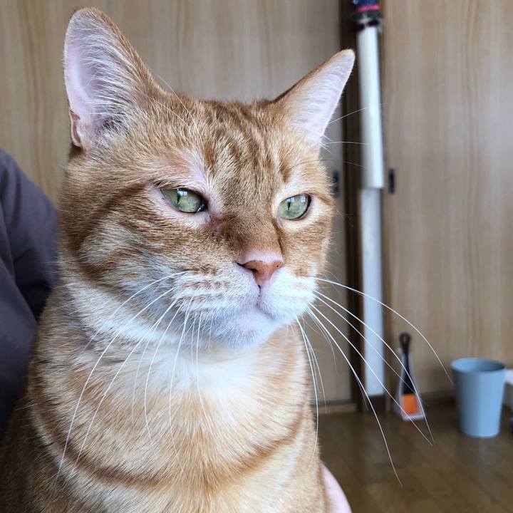 17c5a461 8dde 4bb0 9c0f 36d2b2e5999f 1645233996236