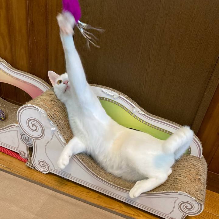 17c5ae53 6625 4e7b bc02 0271b194b92e 1723540837525