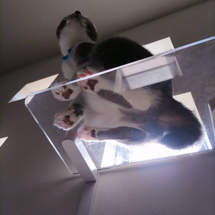 17c5c1d4 daf2 41db 9580 6f0d66677651 1661301926397