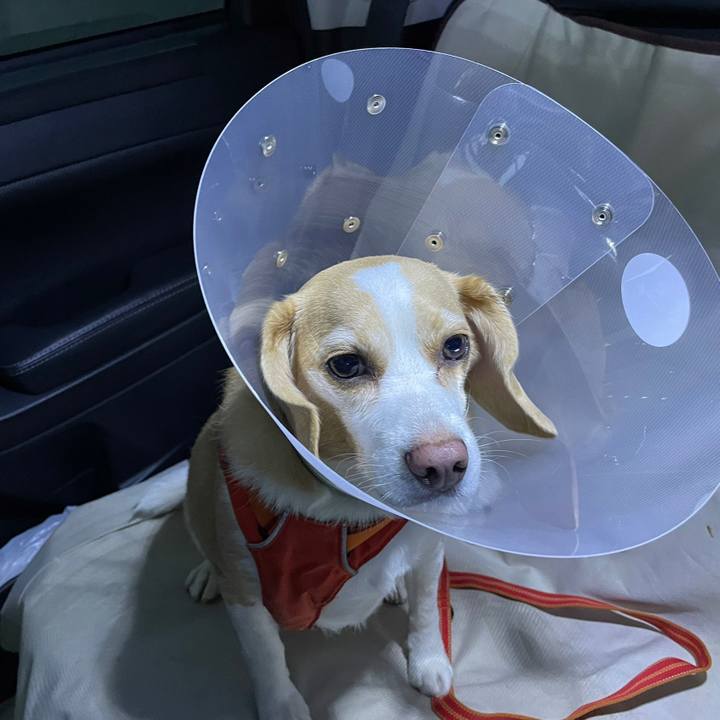 17c5dbb8 46ee 4510 87b2 c7ab423d307f 1651315354851