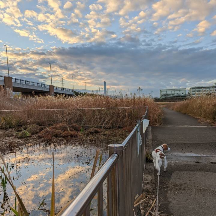 17c5dfa9 becc 4bbd 9761 10db745fbb77 1638605612636