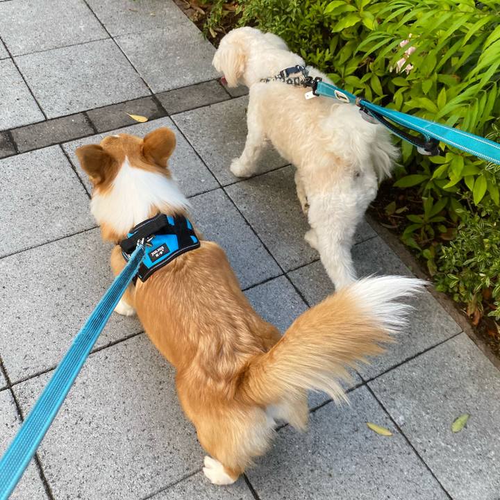 17c5ec2e 6f14 4423 bedf ca7137aac3d9 1619752748886