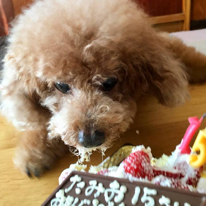 17c5fc13 d4d7 4bc1 8396 58a985aed913 1522050662026