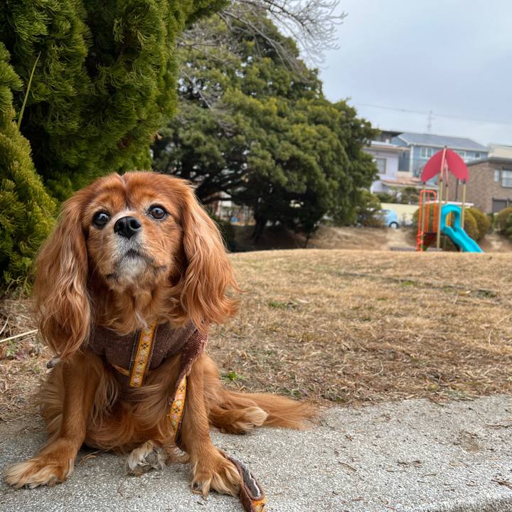 17c60423 bf14 4d30 b8b1 fefc630d9170 1673389817003