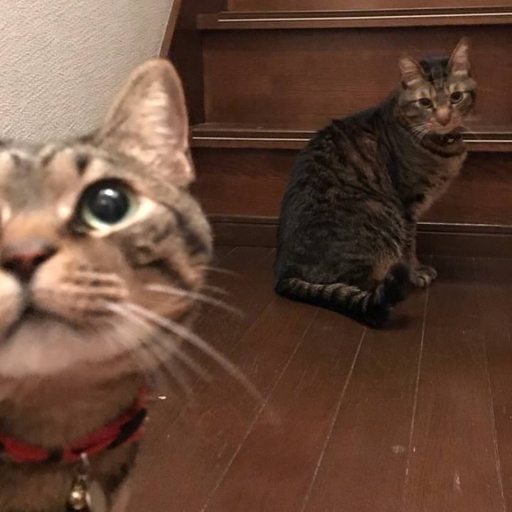 17c639cc 02a9 4a2b 87e3 2f99ac8e0ee0 1622032147281