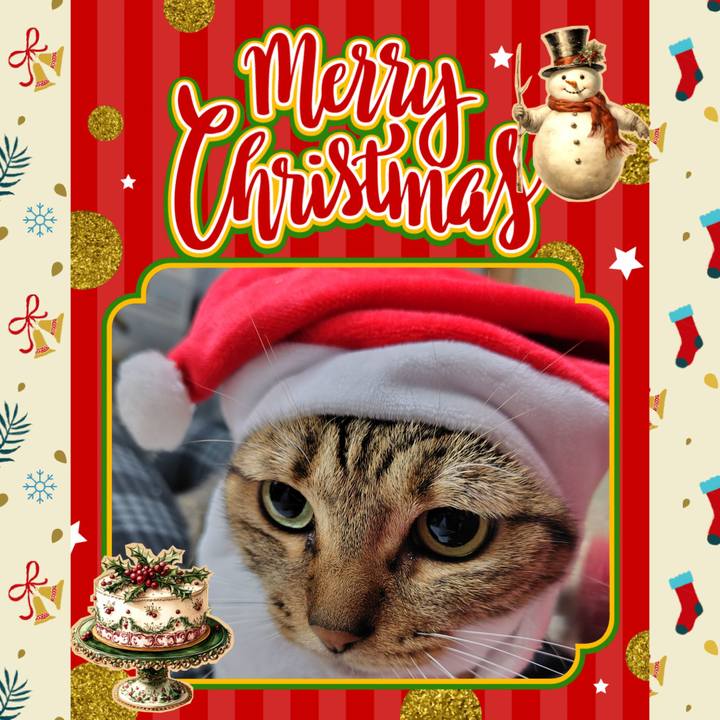 17c642df 89e2 45c5 b46d f3baeb98c3a1 1766452244089