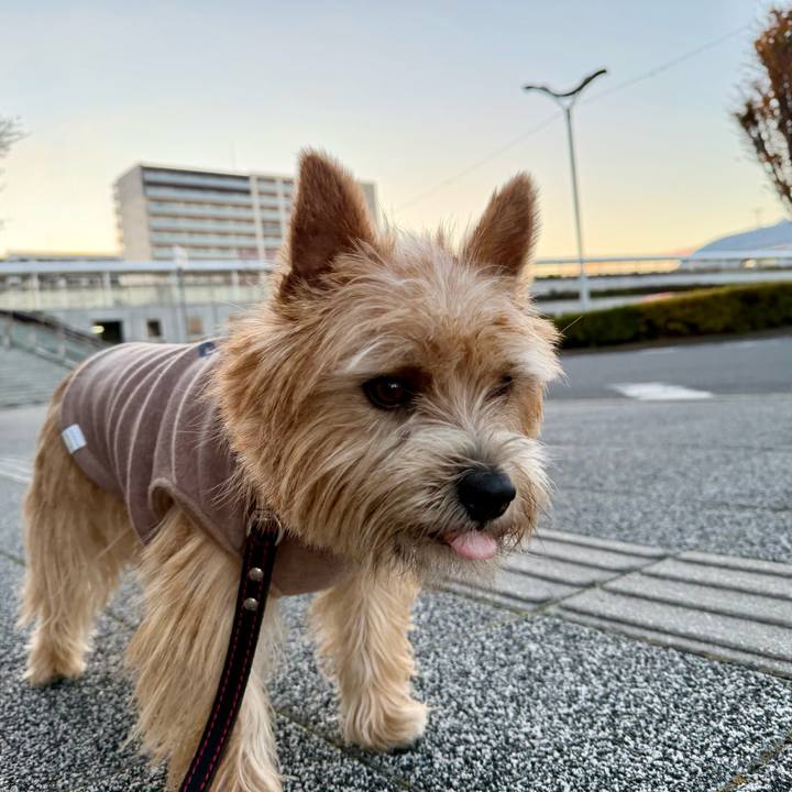 17c65ffd b7fc 46f3 afe7 e6c043d0f623 1764395324357