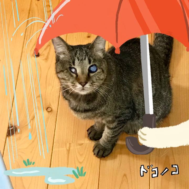 17c66f43 59df 4887 ba95 5cda5d0d1418 1749274955003