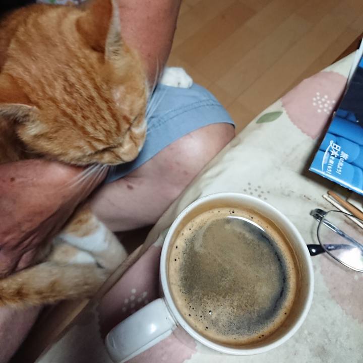 17c6abc2 6ca9 413c bb3f 4740fc08d9a0 1599681094882