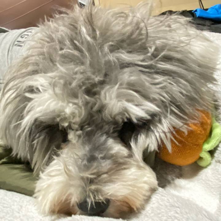 17c6ae3a 91ff 4ec6 bf1e f4c0a0d574df 1614734440106