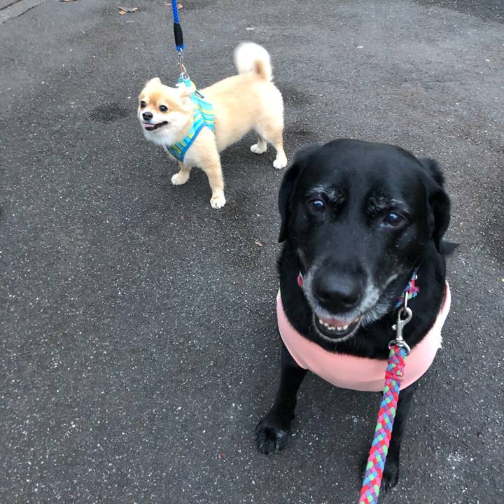 17c6c772 86a9 4741 8e66 f6c54a2b5c96 1570523119662