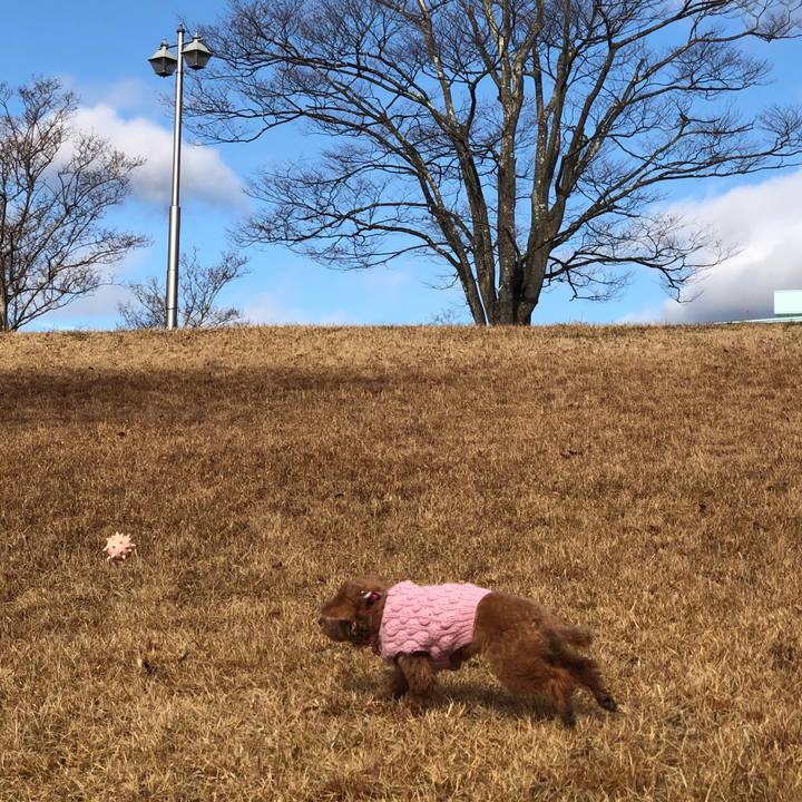 17c6c7bc 0882 4696 ae7a 98c7b12052fd 1580378304792