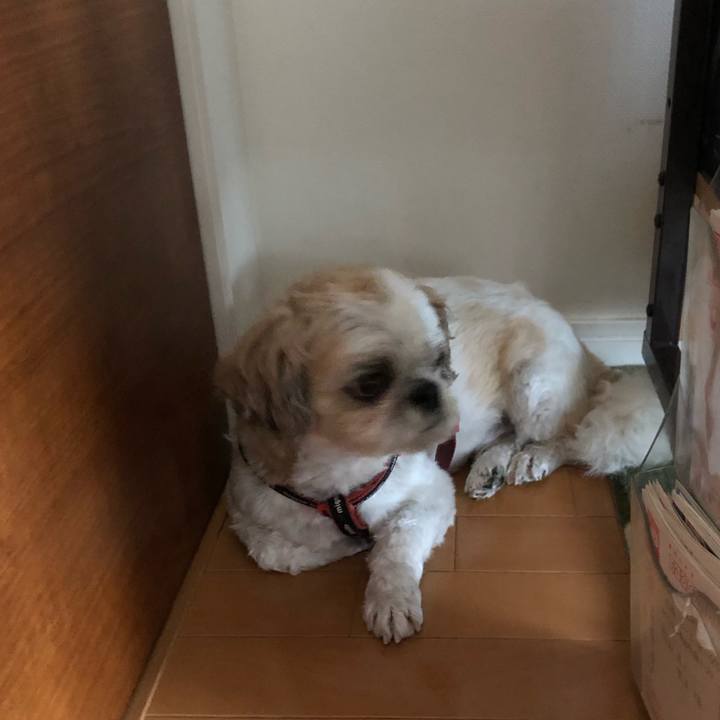 17c6e889 010f 4c76 8fc1 1bffb3dd7fb5 1594676851811